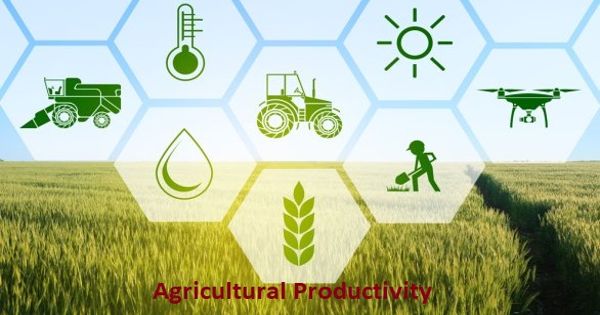 What is Agriculture Productivity- Zoefact